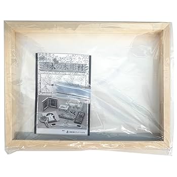 チャチャさん専用【額縁】F4☆木製油彩額2枚セット チャチャさん専用【額縁】F4☆木製油彩額2枚セット Amazon.co.jp